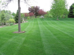 lawn mowed by Green Meadows