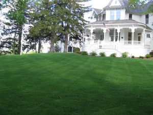 lawn care by Green Meadows